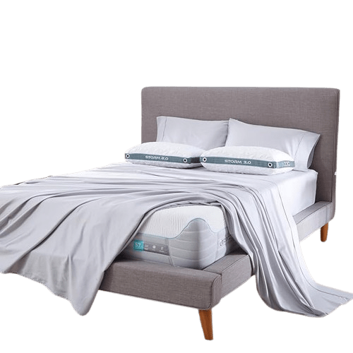 BEDGEAR Plush Mattress