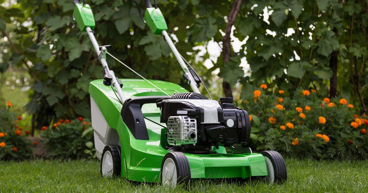Best Lawn Mowers