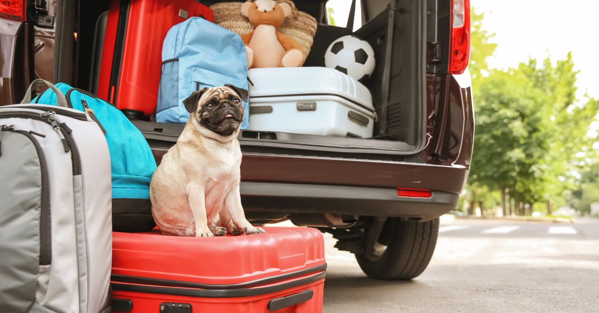 Best Luggage