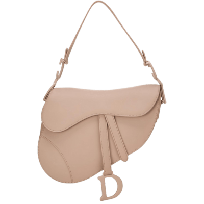 Dior Saddle Bag