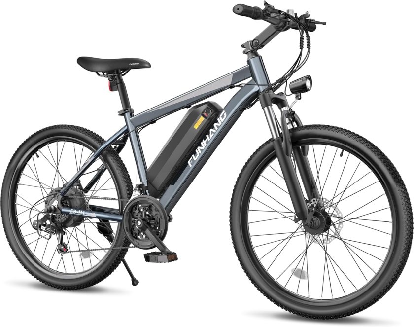 Funhang Electric Bike for Adults