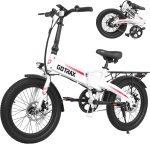 Gotrax R1 Folding Electric Bike
