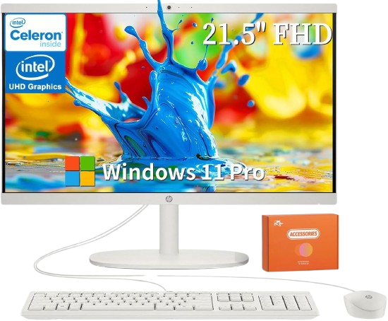 HP 2025 All-in-One Desktop Computer