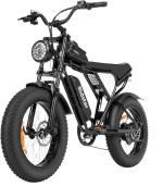 Ridstar Electric Bike for Adults, 1000 2000W, 20 Inch Fat Tire Dirt Bike