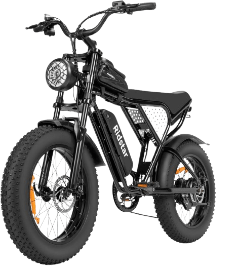Ridstar Electric Bike for Adults, 1000 2000W, 20 Inch Fat Tire Dirt Bike