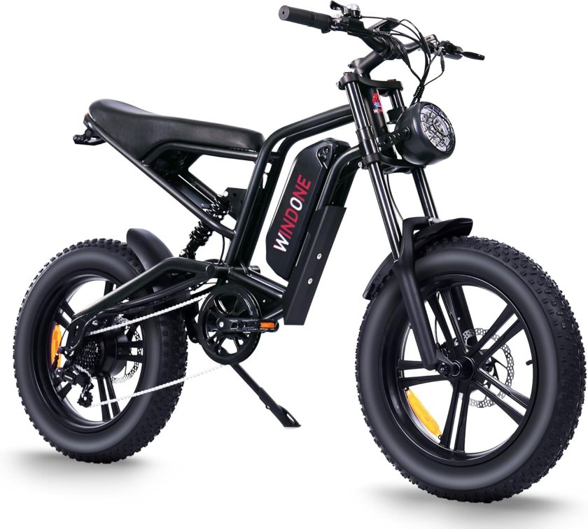 Windone E2 K20 Electric Bike for Adults