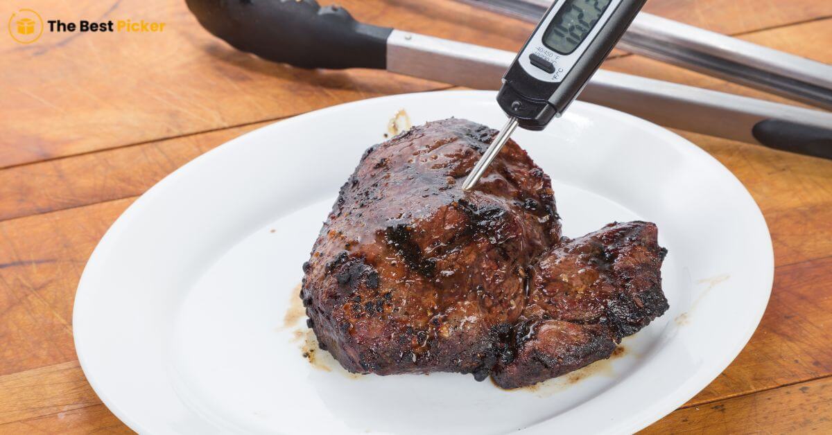 Best Digital Meat Thermometers